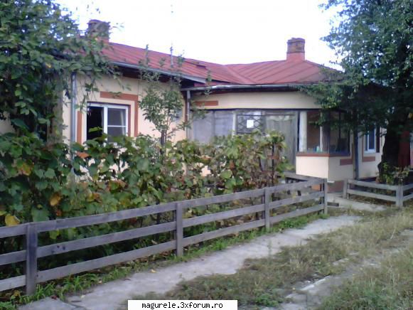VAND CASA CU TEREN 1300MP - VAND CASA CU TEREN1300 MP,STRADAL CU - Terenuri / Imobiliare in Magurele