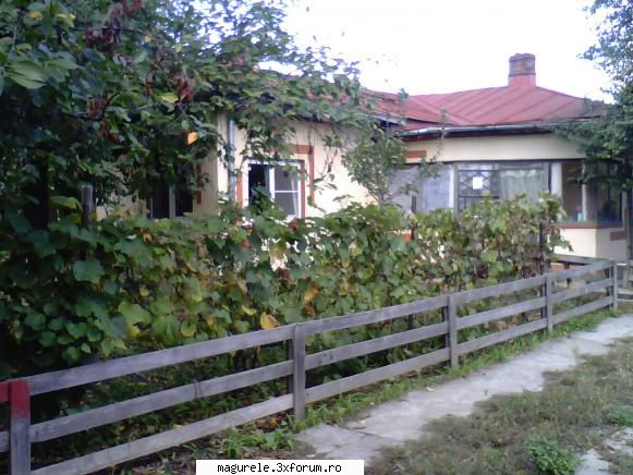 VAND CASA CU TEREN 1300MP - CASA MAGURELE ALUNIS 310,TEL - Terenuri / Imobiliare in Magurele